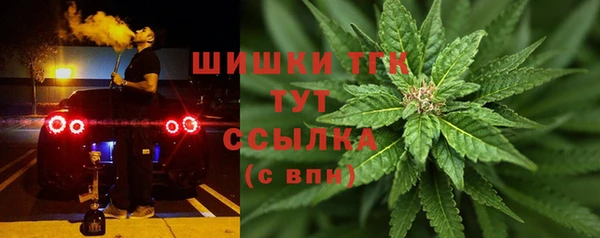 тгк Надым