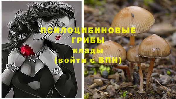 тгк Нефтегорск