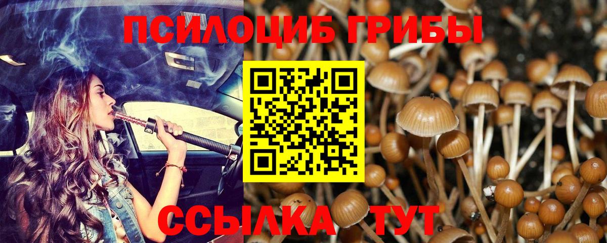 Искитим  Галлюциногенные грибы GOLDEN TEACHER  Вход с VPN 