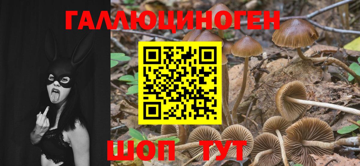 Галлюциногенные грибы Magic Shrooms Искитим